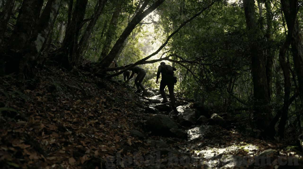 深圳德州扑克吧-深圳德州扑克吧，城市中的智力与策略交锋
